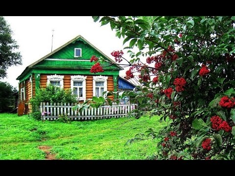 яндекс.картинки