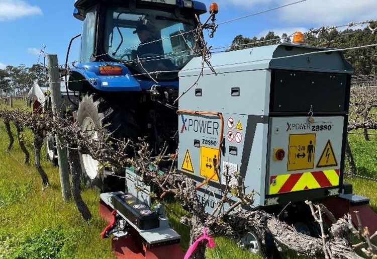    Фото: Cambridge University Press