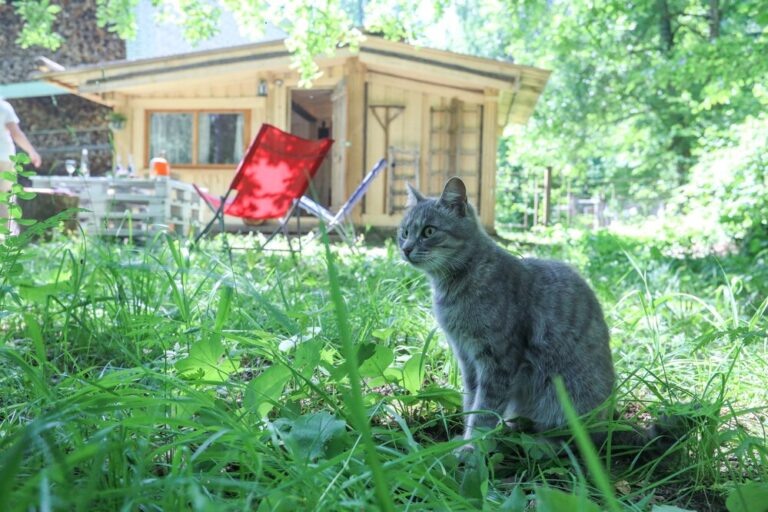    Фото: Агентство «Москва»/Сандурская Софья Александра Горохова