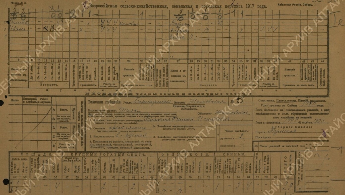 Анкета с/х переписи 1917 году - Блохин Филипп Игнатьевич