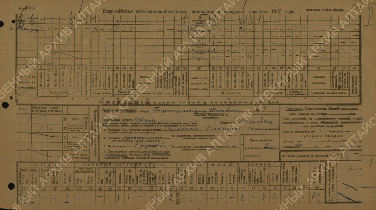 Анкета с/х переписи 1917 году - Блохин Никифор Игнатьевич