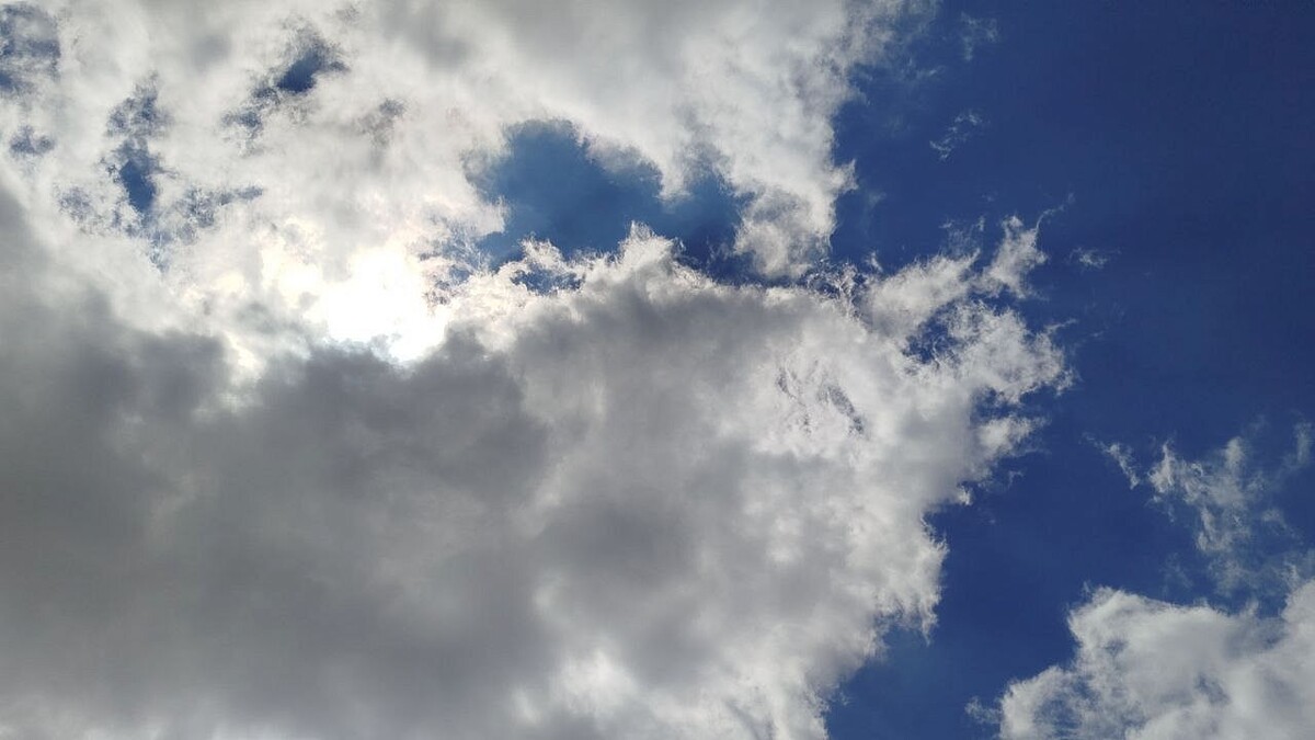    Фото: телеканал «Краснодар»