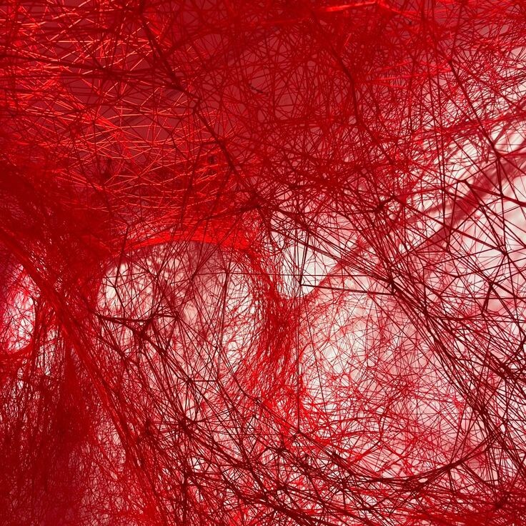 Из открытых интернет источников 