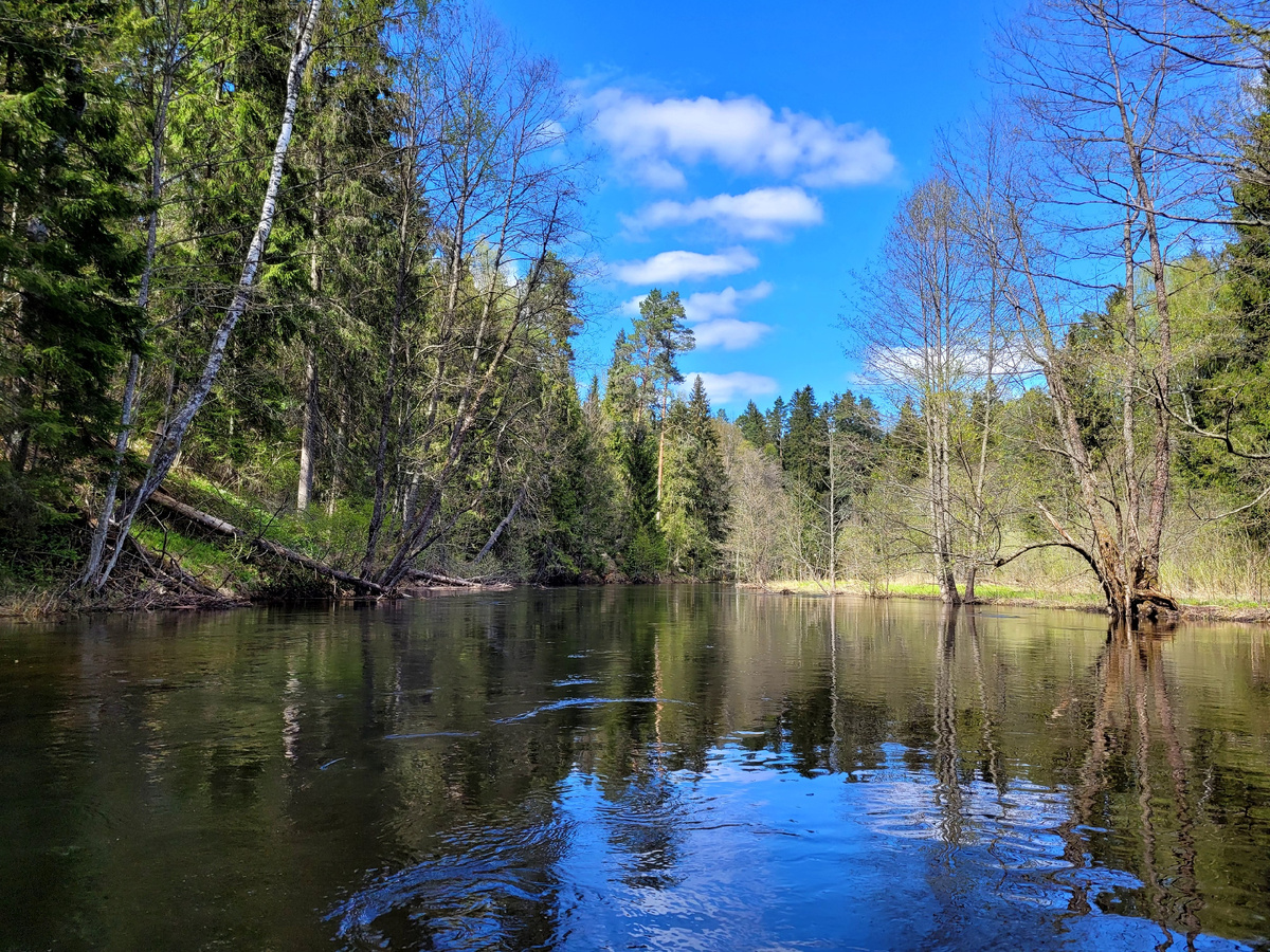 Автор фото: Иван Варвар
