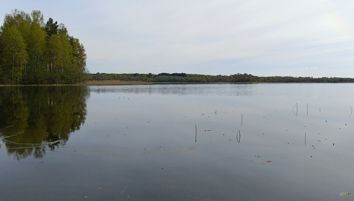 Автор фото: Артём Голуб