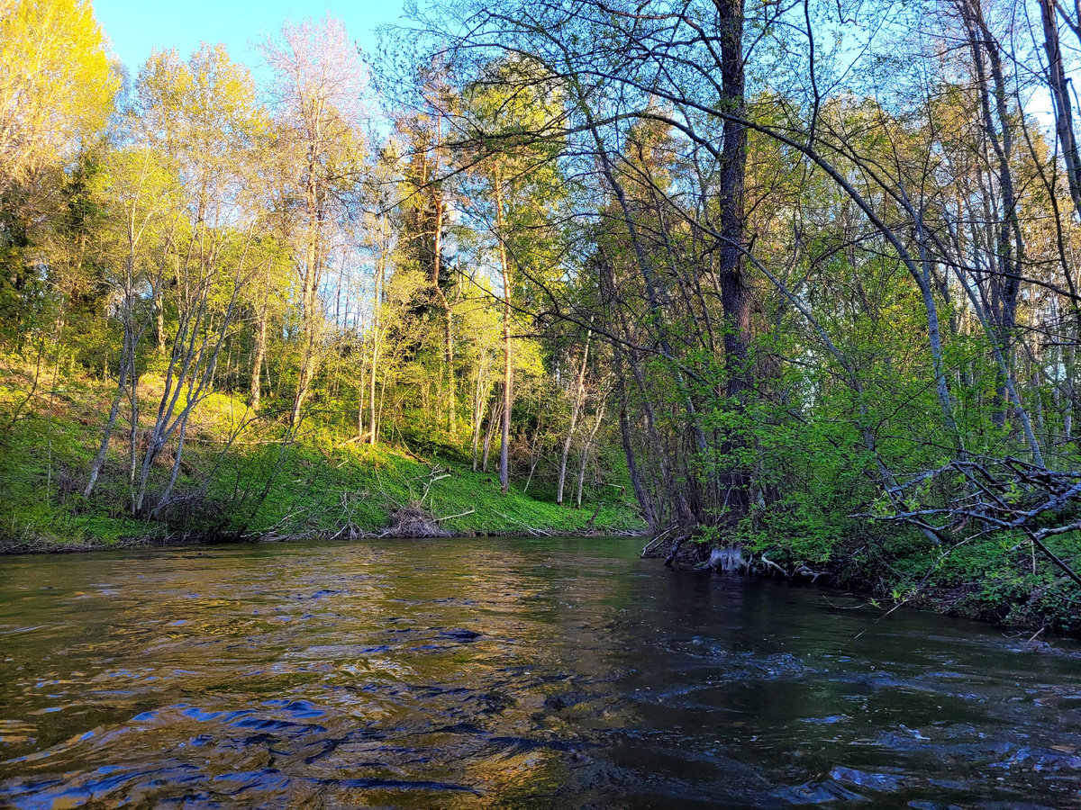 Автор фото: Иван Варвар