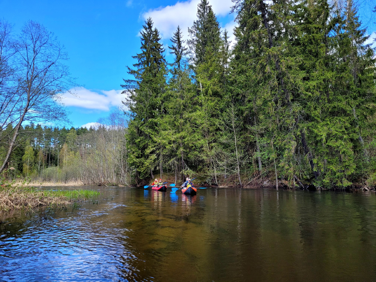 Автор фото: Иван Варвар