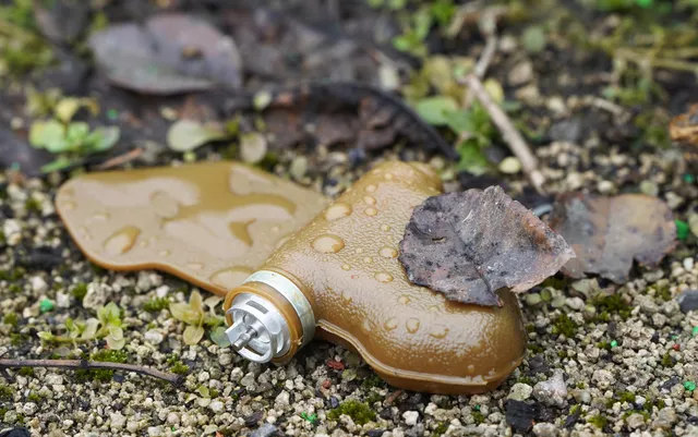 © РИА Новости . Сергей Батурин
Перейти в фотобанк
Противопехотная фугасная мина ПМФ-1 "Лепесток"