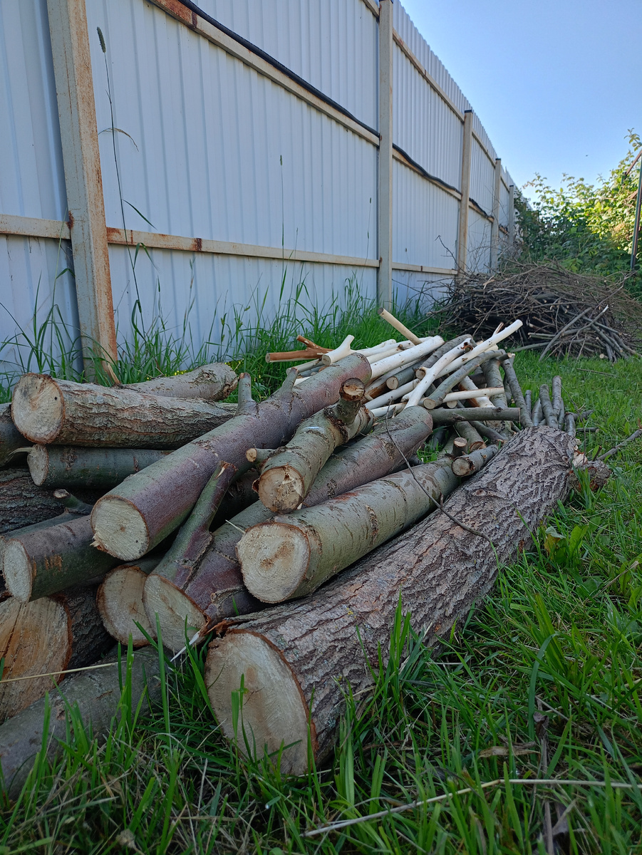 Фото автора. 