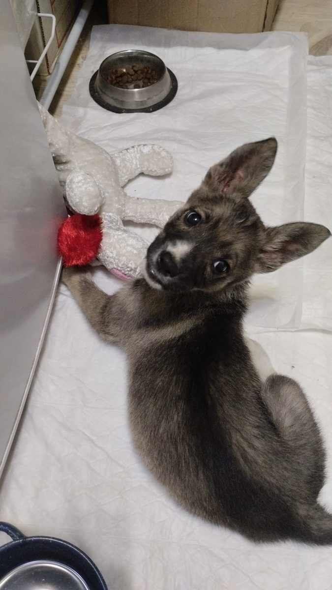 Это фото в самый первый день дома