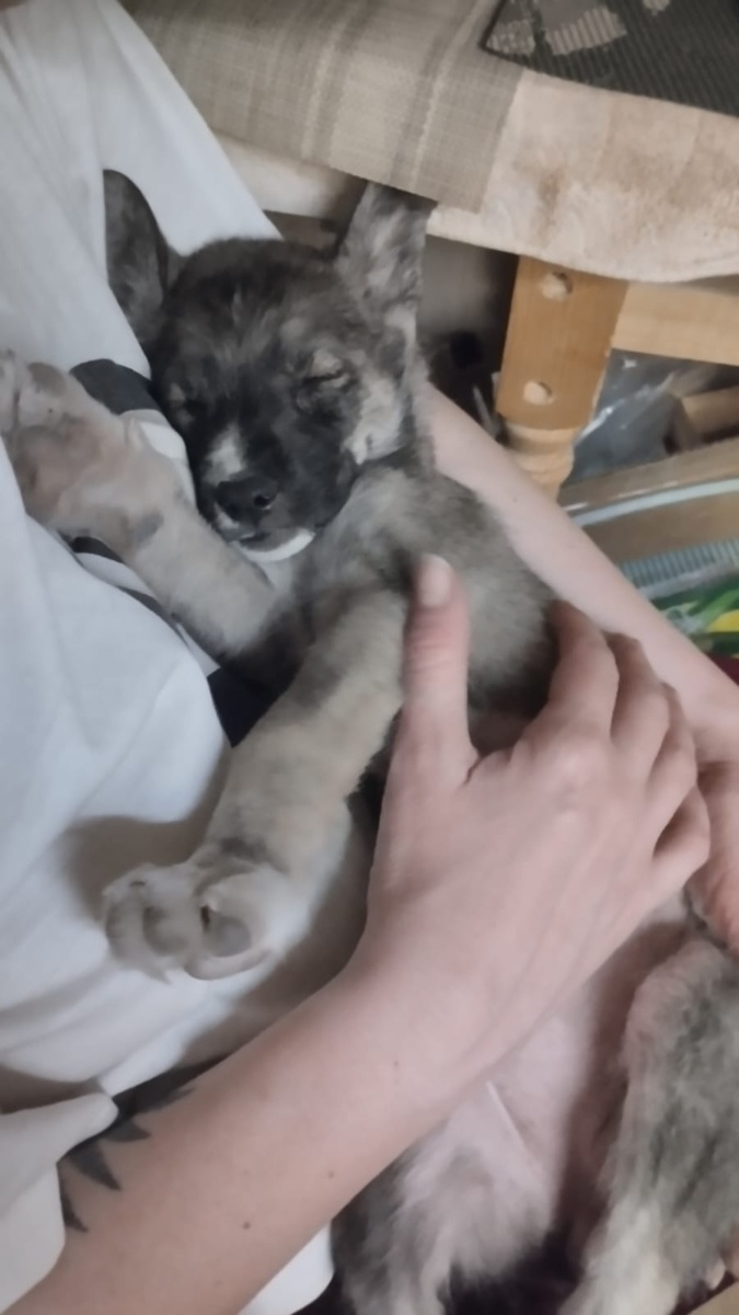 Беззащитная кроха