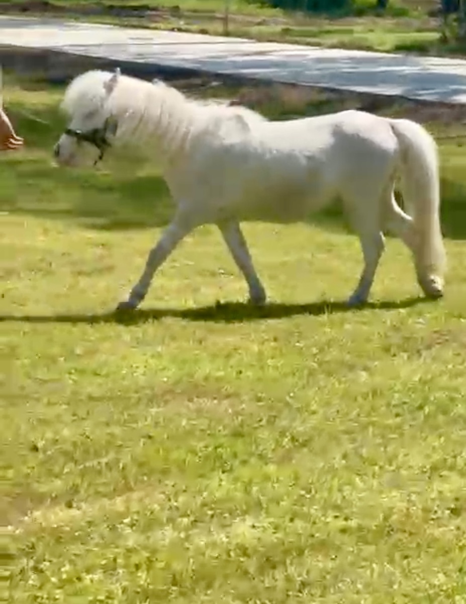 Фото получилось не очень удачным. Далековато. 