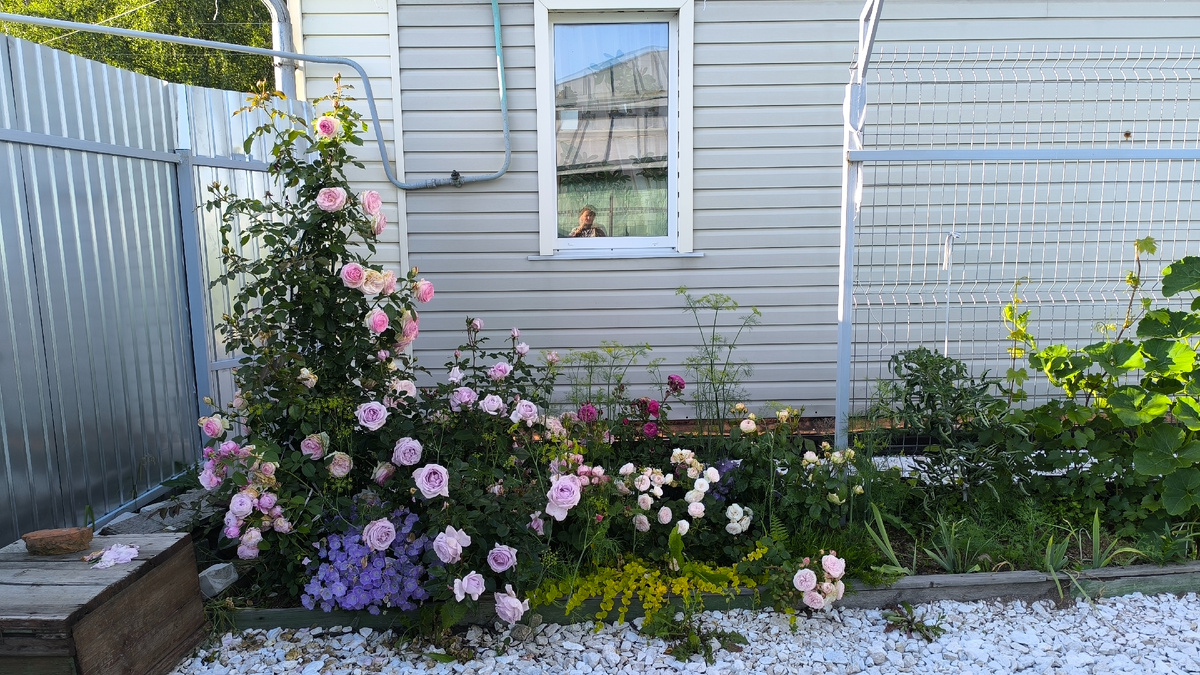 Последнее пристойное фото.