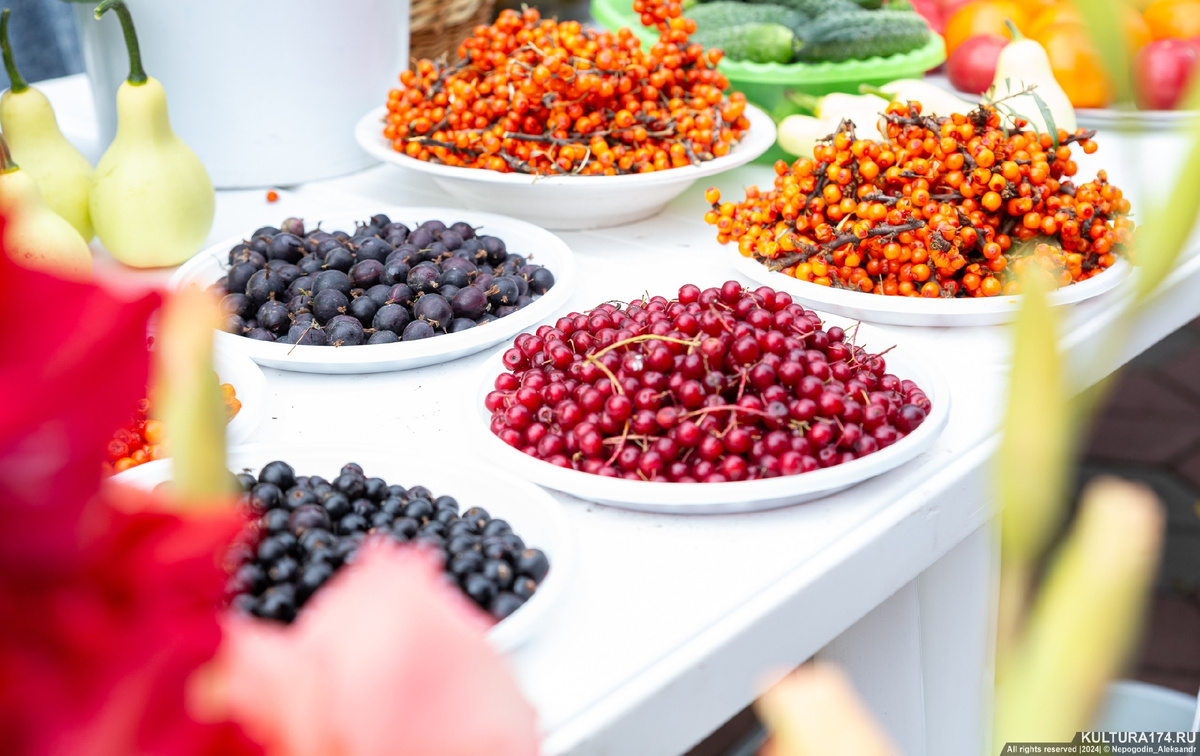 Фото: Александр Непогодин