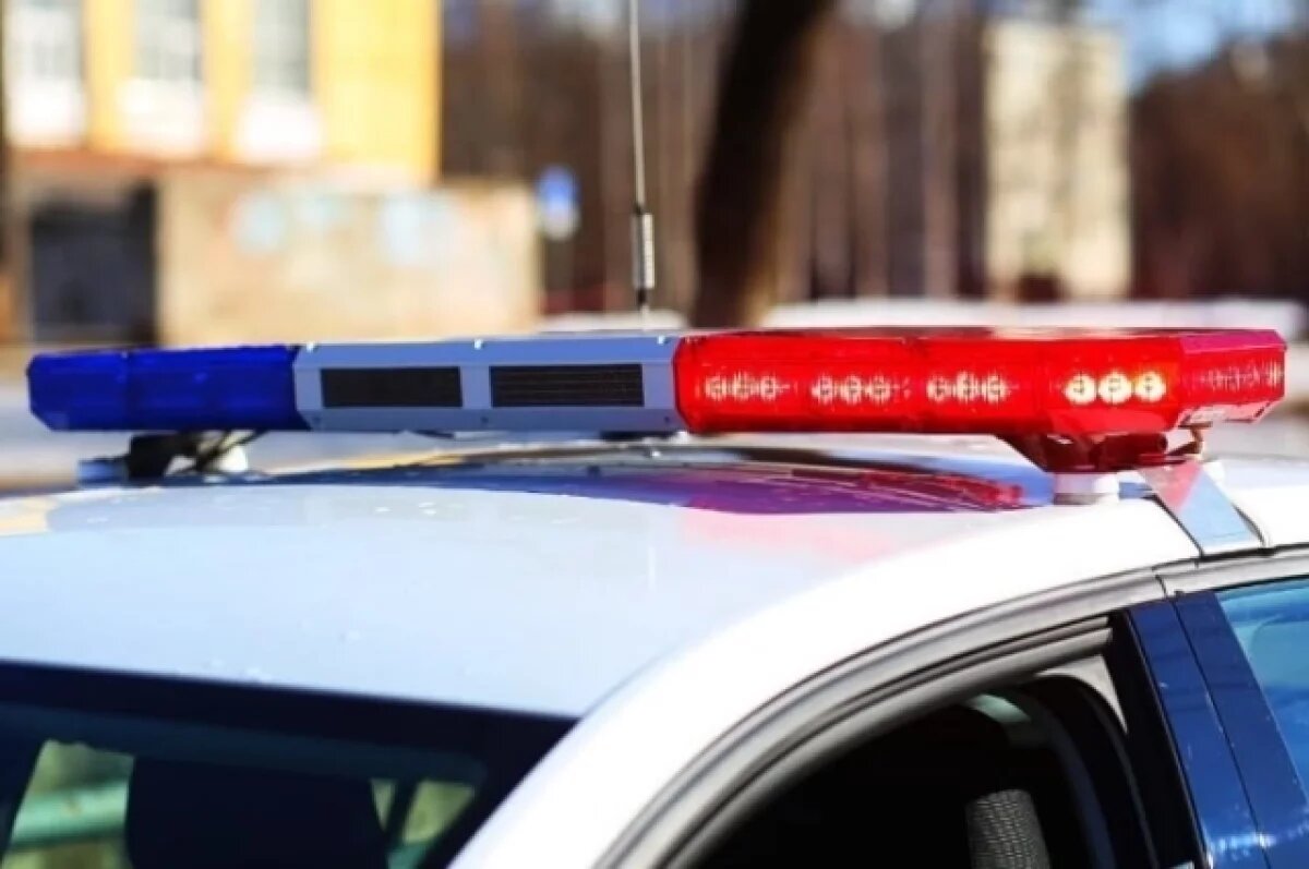    В Амурской области двух мужчин заподозрили в использовании рабского труда