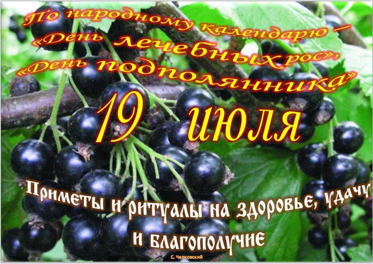 Встречаем новый день