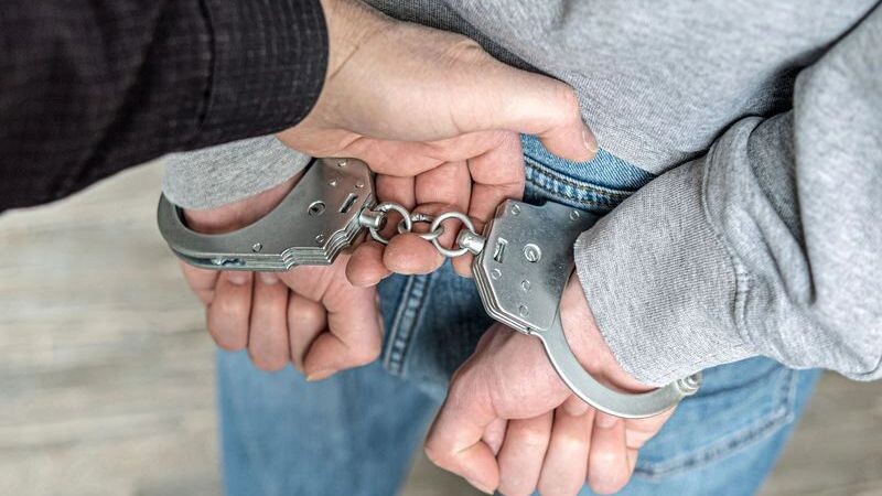    Фото: Andrey Mihaylov/Shutterstock/Fotodom