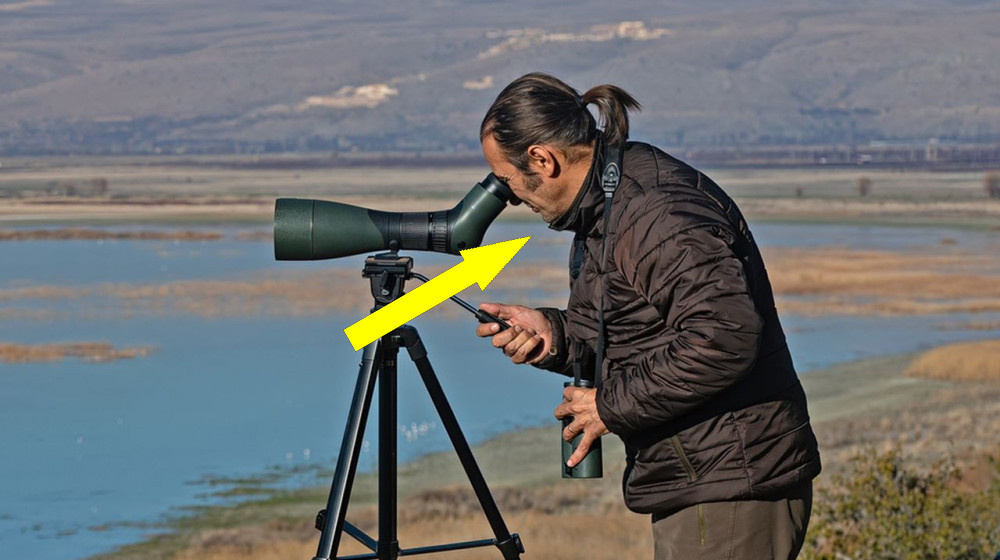    Лучшие наблюдательные бинокли и споттеры 2025 для наблюдения за птицами и дикой природой