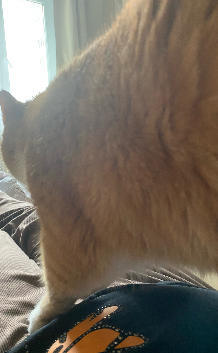 Вася пришел