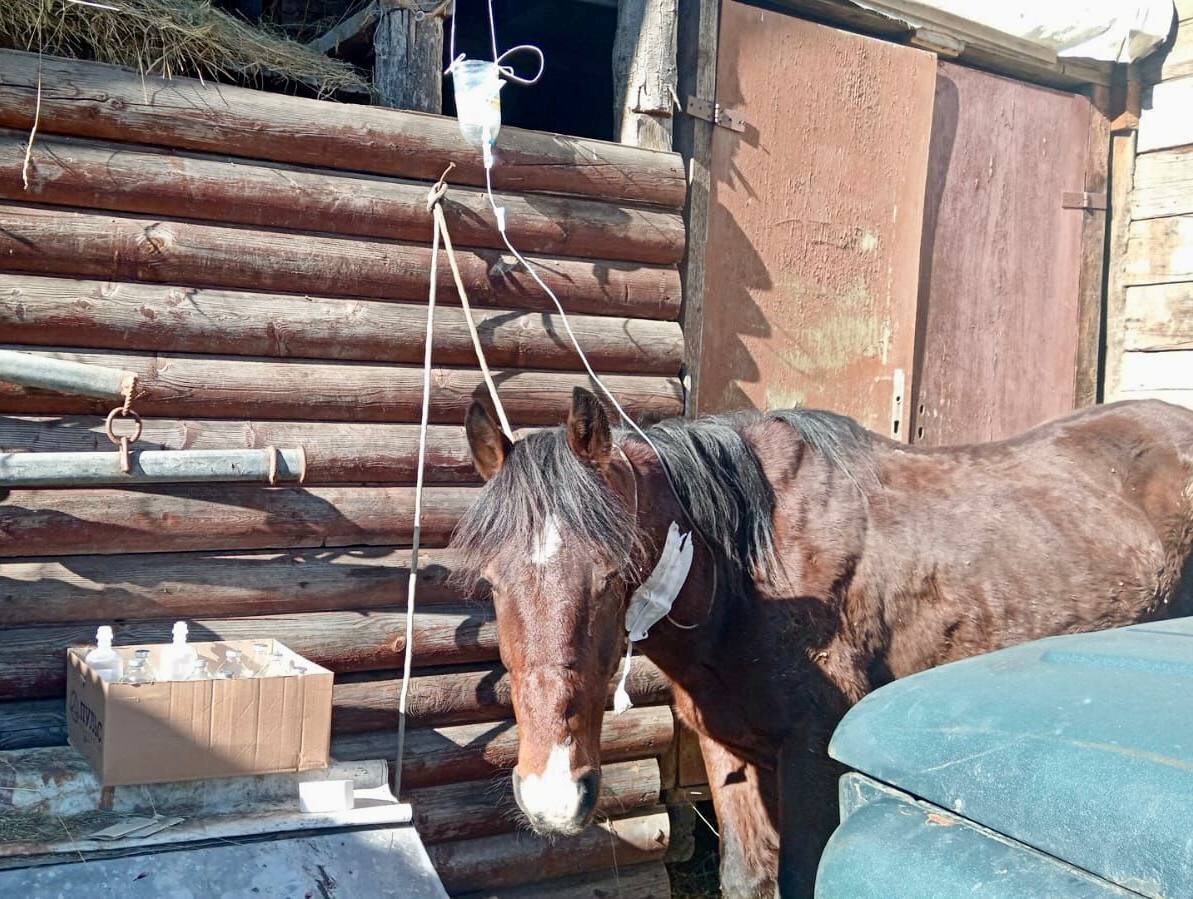    Фото: Telegram/Полиция Сочи