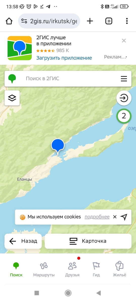 Место, где я собирала шампиньоны. 