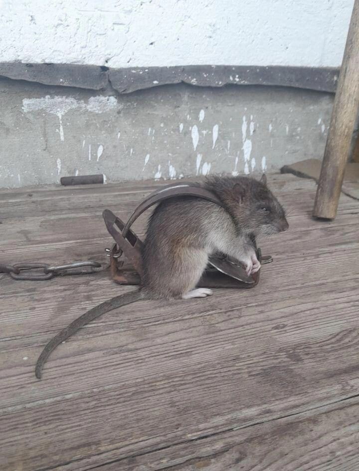    Фото: Telegram-канал Наша Борзя