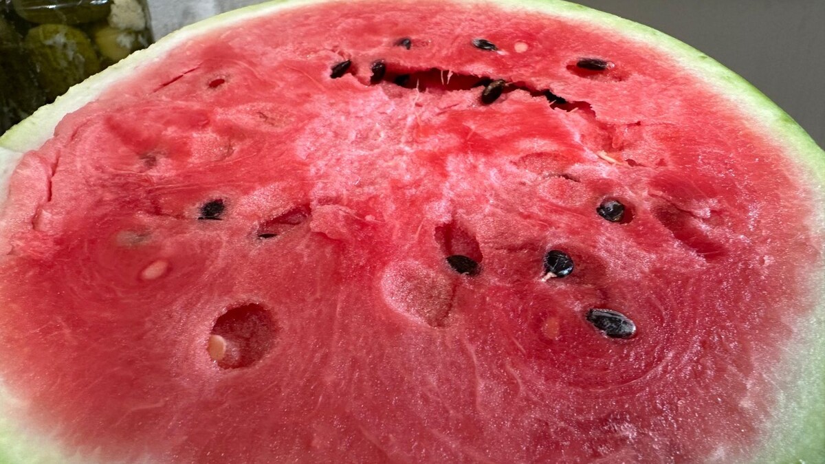     Источник: vostokmedia.com