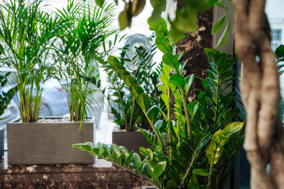 Выполнено декораторами Me Decor