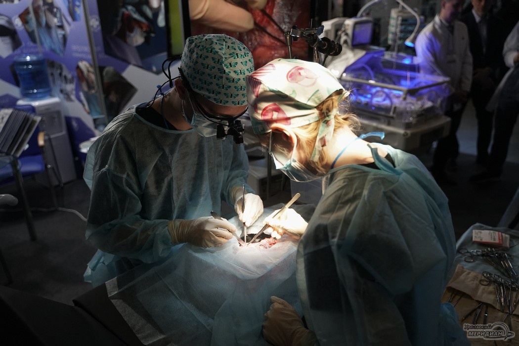    Фото: Лидия Аникина © ИА «Уральский меридиан»