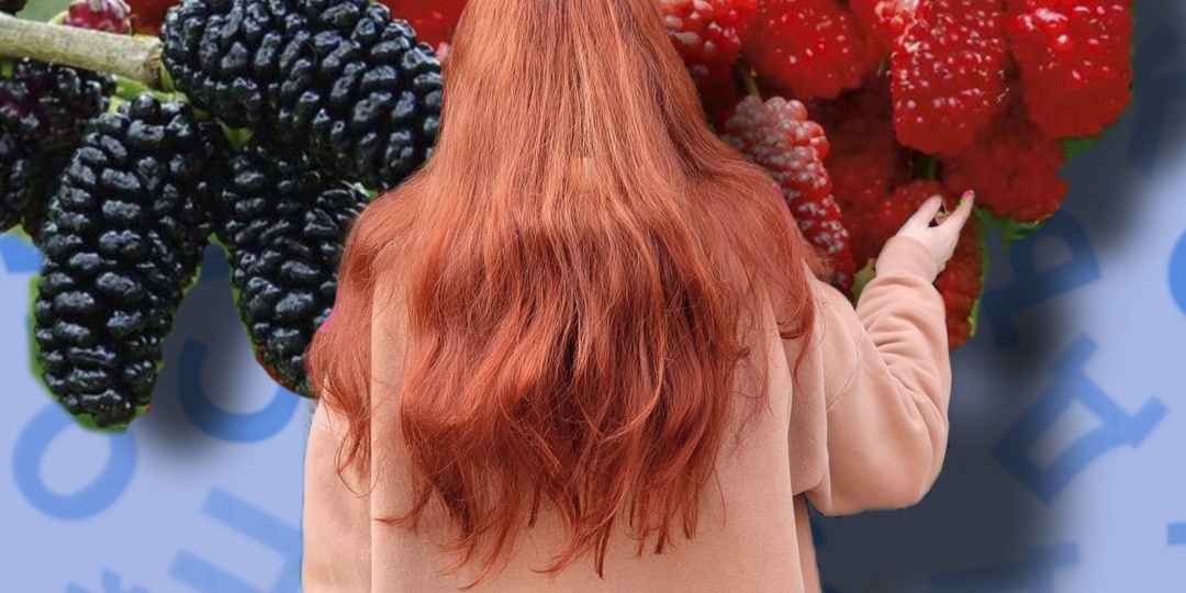 Неожиданное ударение в слове «шелковица» и его отличие от «тутовника»