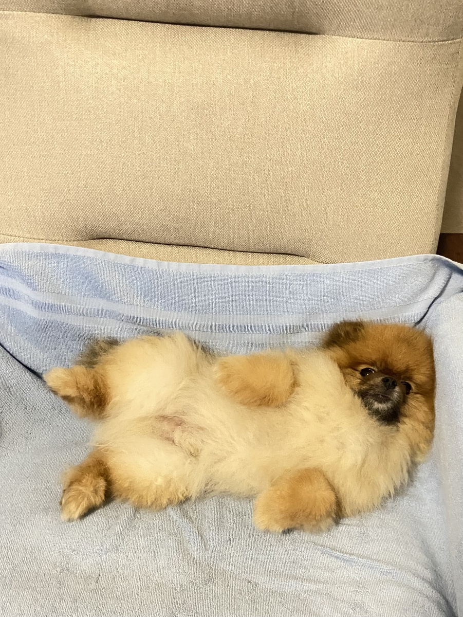 Спальное место Майкла