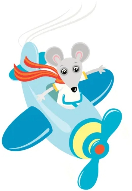 Пипишка летит в Монреаль