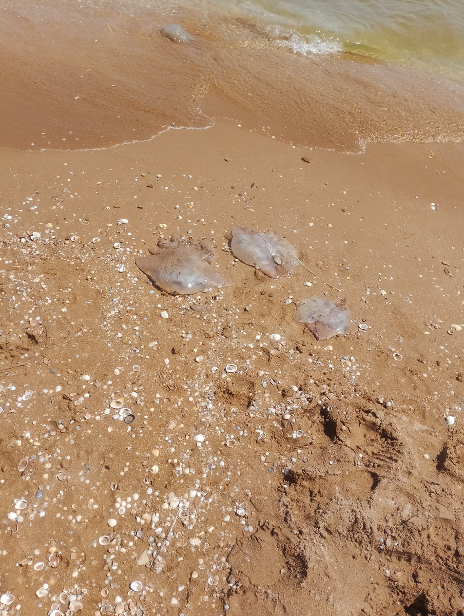 Фото канала