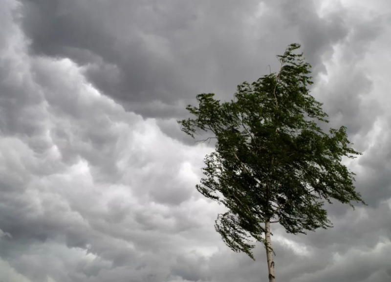   Фото с сайта ГУ МЧС по Красноярскому краю Илья Федоров