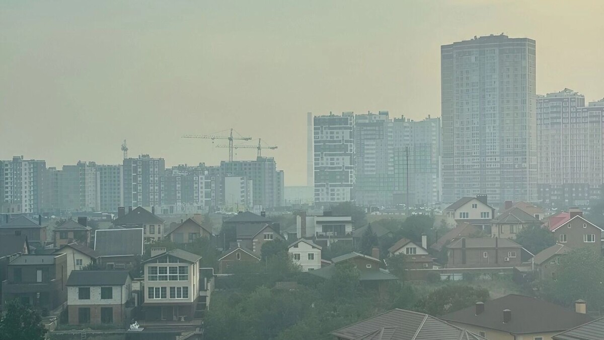     Источник: rostovgazeta.ru