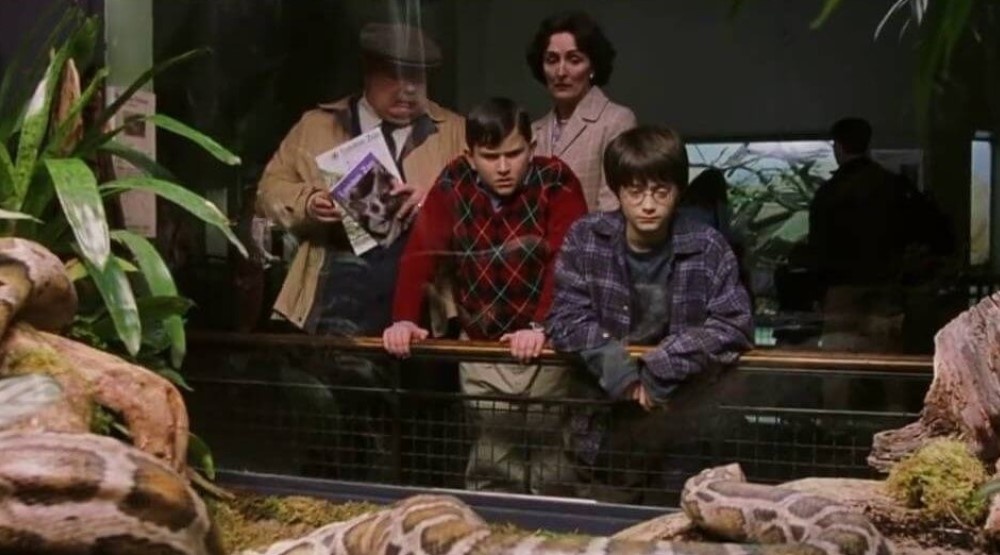     Кадр из фильма «Гарри Поттер и философский камень» (2001)