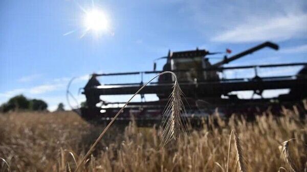    © Sputnik / Мария Амелина