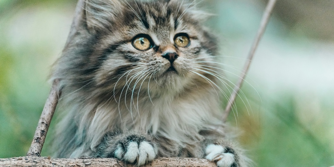 Женская интуиция