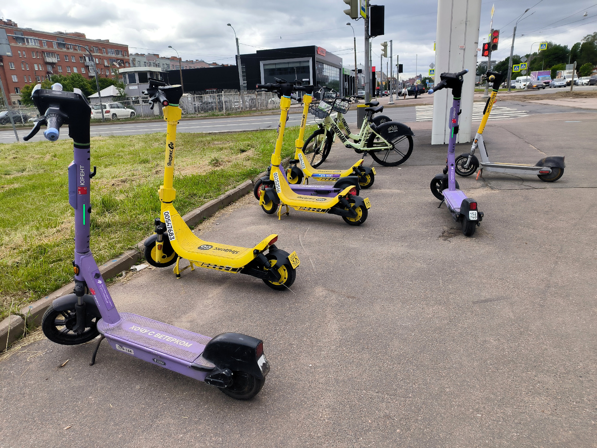 Фото: Maksim Konstantinov/Global Look Press
