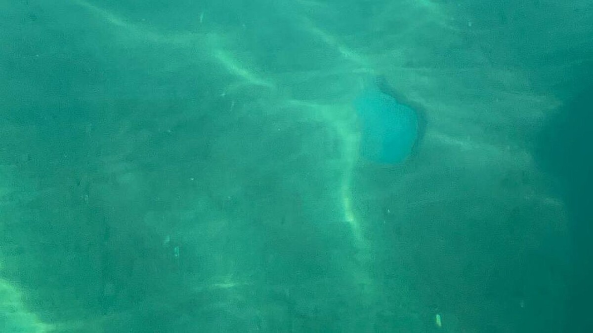    Фото: телеканал «Краснодар»