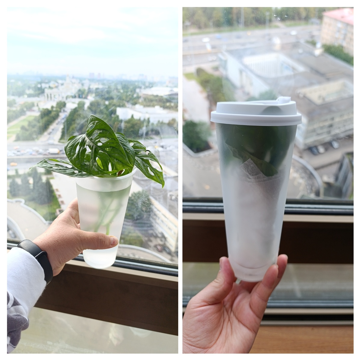 Фото автора 