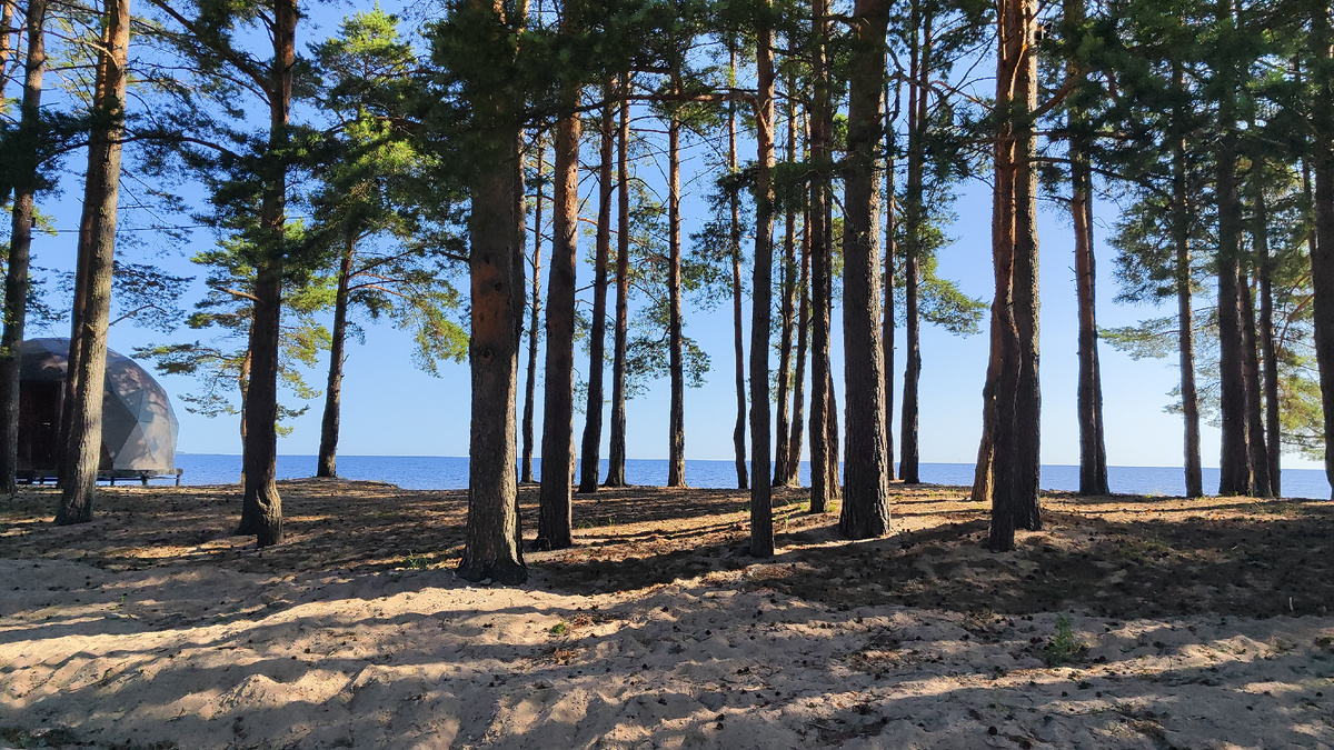 Берег Ладоги в Коккорево. 