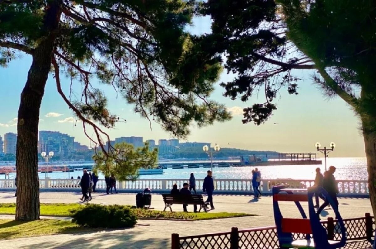    Семья Жигуновых полетит в Геленджик на первом после долгого перерыва рейсе