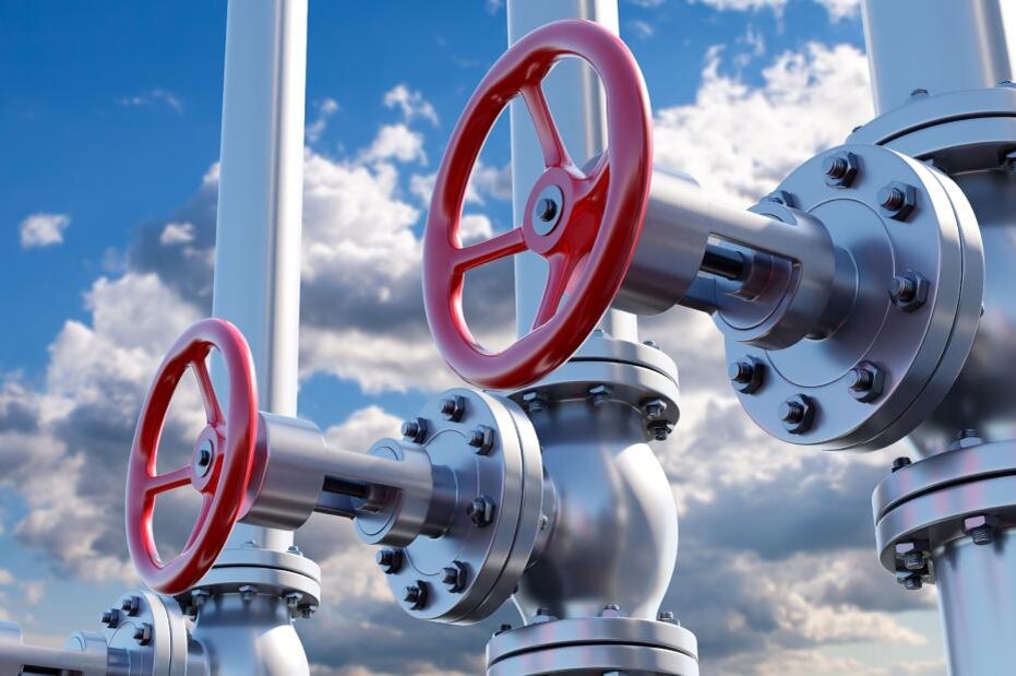    Shutterstock/FOTODOM