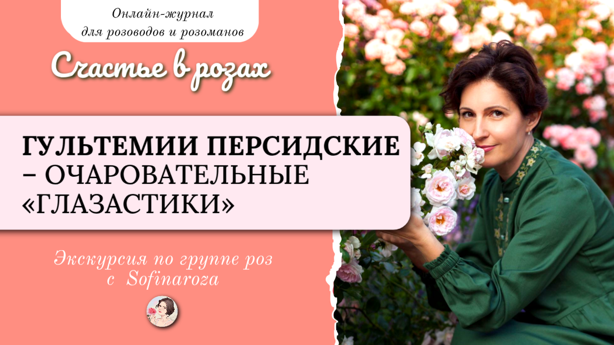 «Счастье в розах», выпуск №33, 18 июля 2025г.