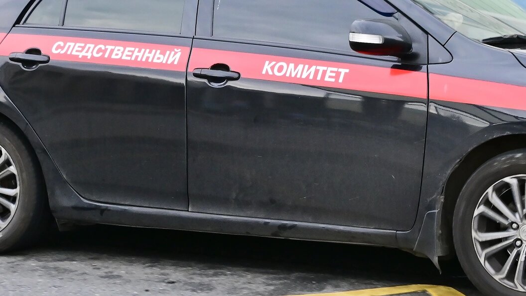    Фото: Vladimir Baranov/Globallook Press/Globallookpress