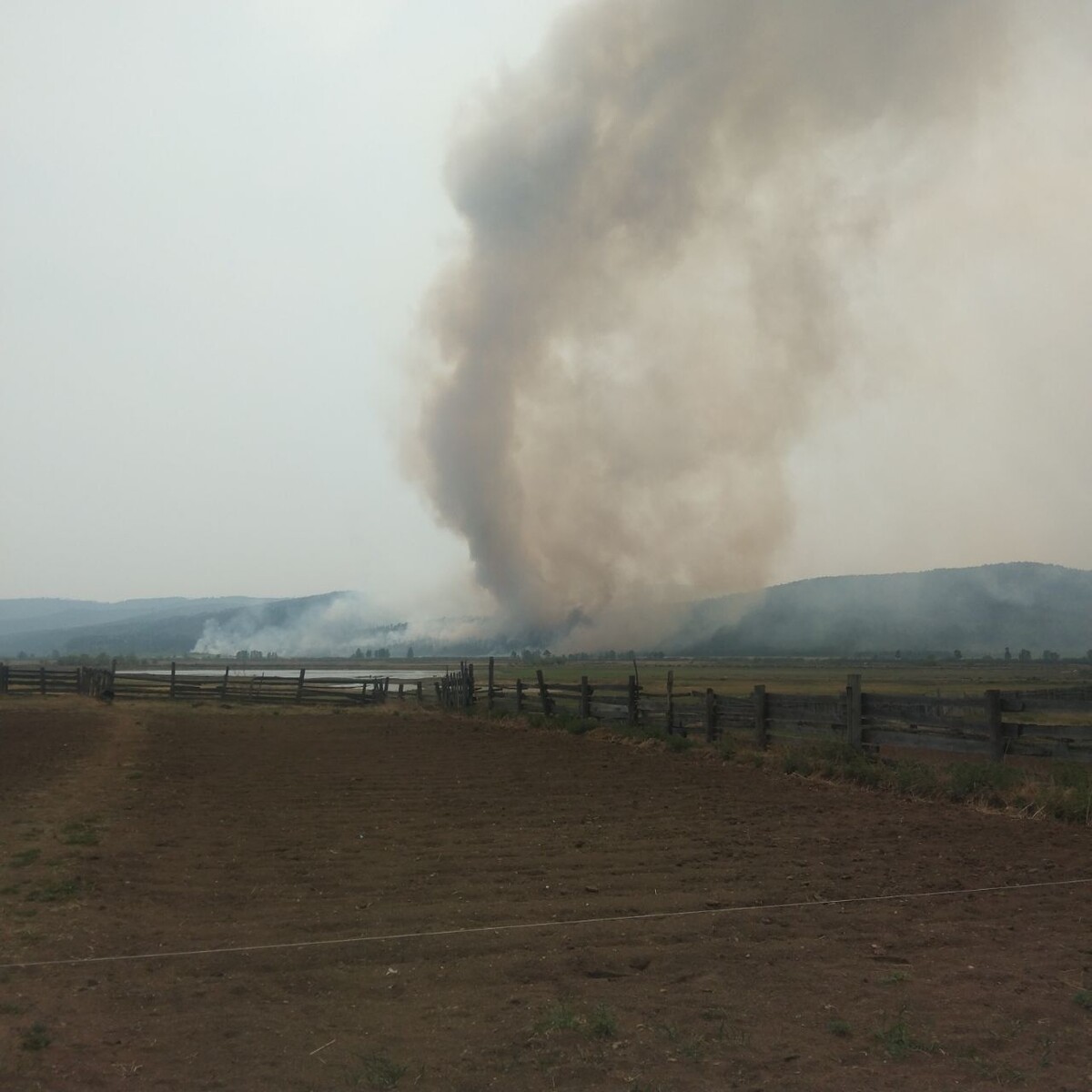    Фото: Telegram-канал Волонтёры Забайкалья