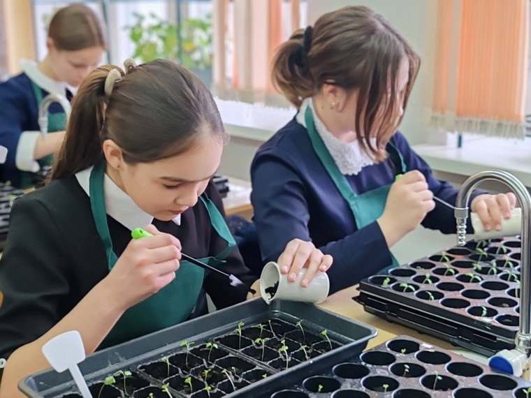 Участники проекта «Научная площадка “Школьный агрокампус”»