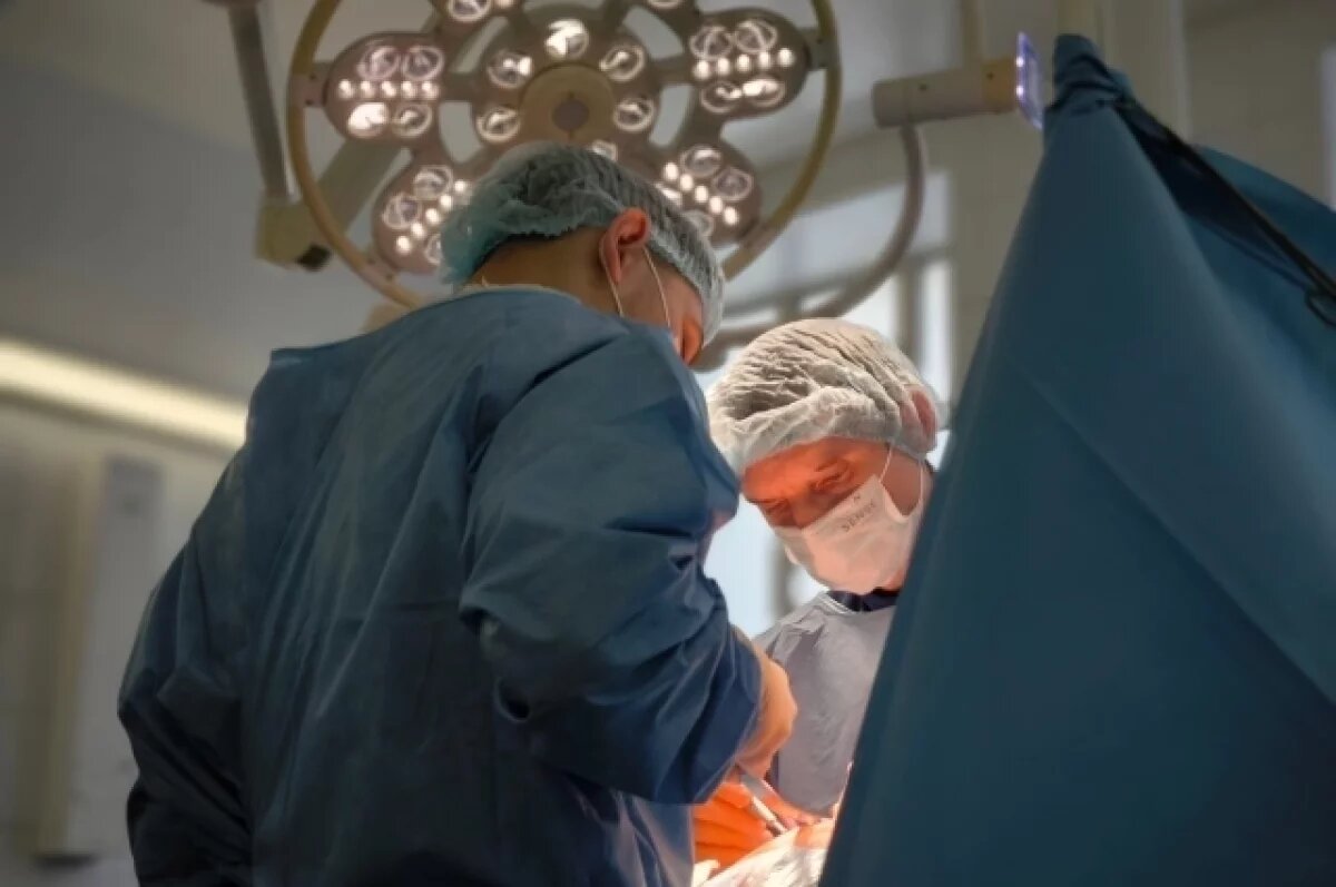    В Камчатском крае врачи вывели из шока туристку, на которую напал медведь