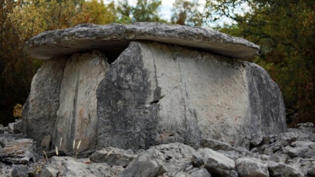 Фото пресс-службы Кавказского биосферного заповедника
